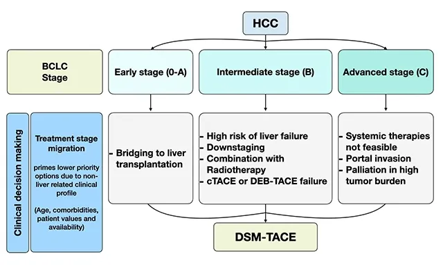 HCC Barcelona staging