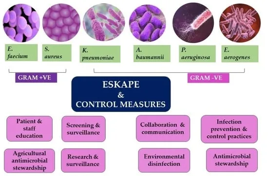 Antibiotic resistant bacteria ESKAPE pathogens hospital infections