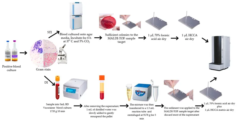 Laboratory diagnosis hospital acquired infections blood culture microbiology