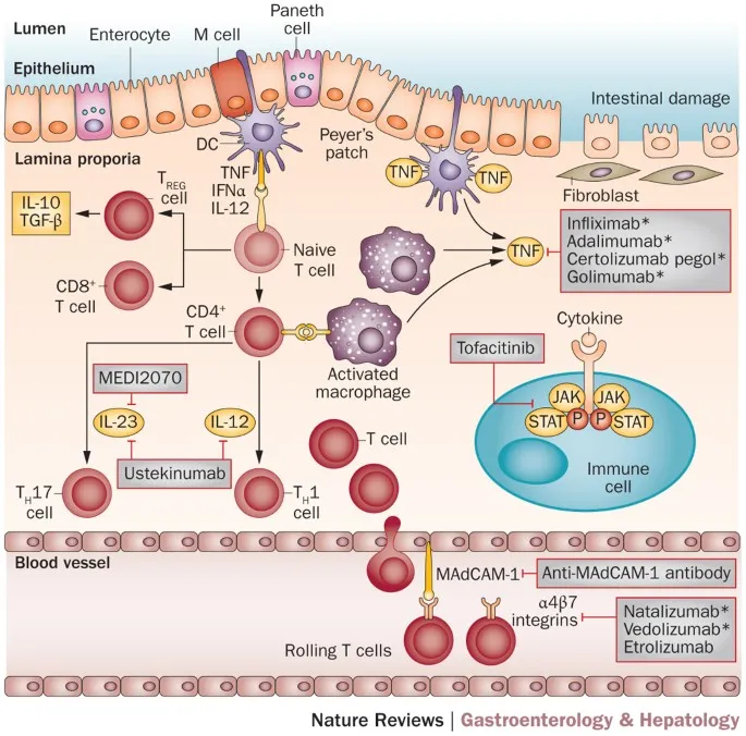 Comparison chart of biologic therapies showing mechanisms and efficacy rates