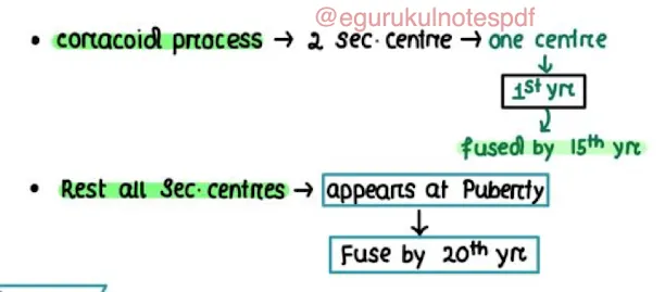 skeletal age determination methods