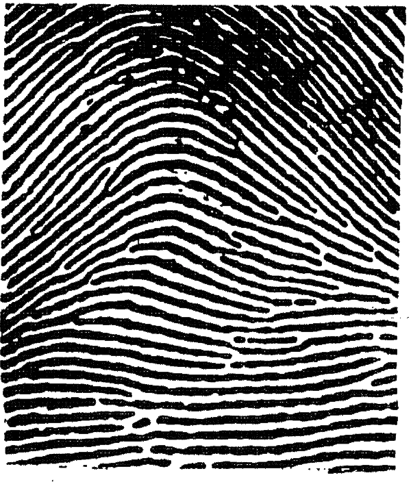 fingerprint minutiae types