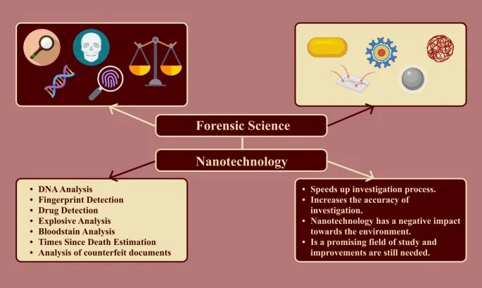 forensic identification principles