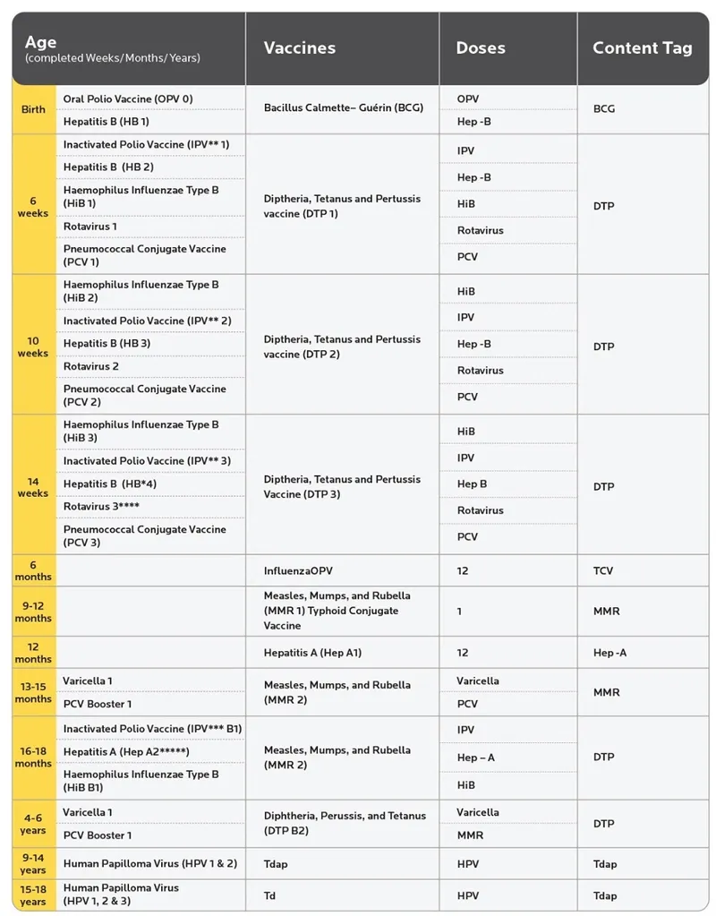 National Immunization Schedule timeline showing vaccine administration from birth to adulthood
