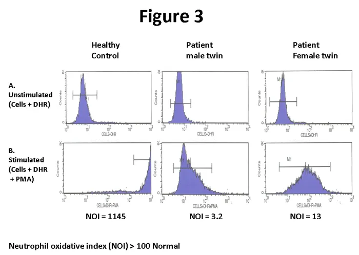 Laboratory algorithm for phagocyte function testing and interpretation
