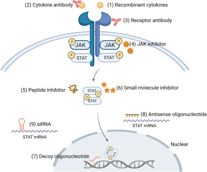 JAK-STAT pathway showing multiple cytokine convergence points