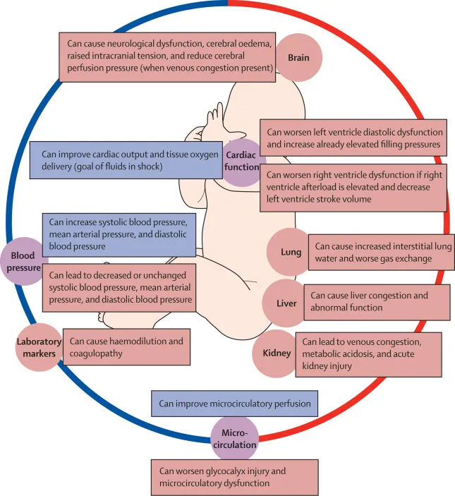 Sepsis cardiovascular effects in pediatric patients
