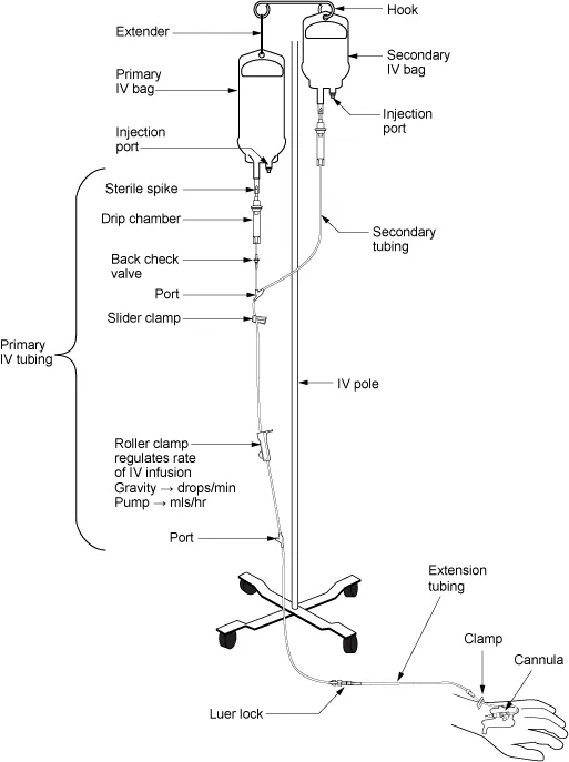 antibiotic infusion strategies