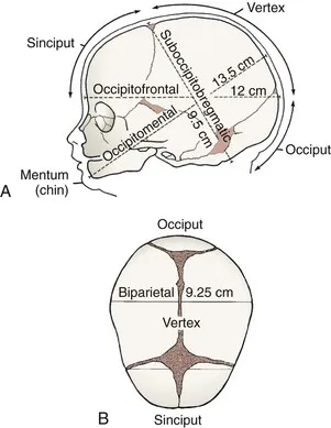 Fetal head diameters and measurements for delivery