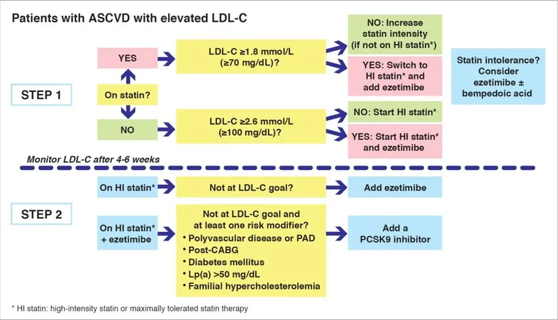 Comprehensive treatment algorithm showing escalation strategies for different risk categories
