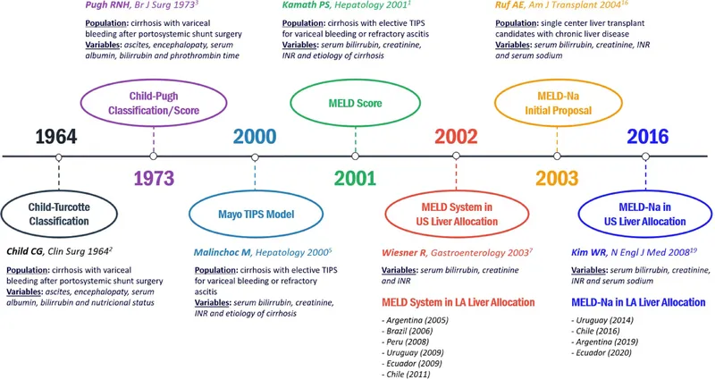 Clinical assessment tools and scoring systems for liver disease severity