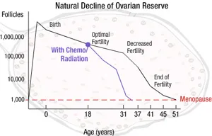 Ovarian follicle depletion across female lifespan showing declining follicle count