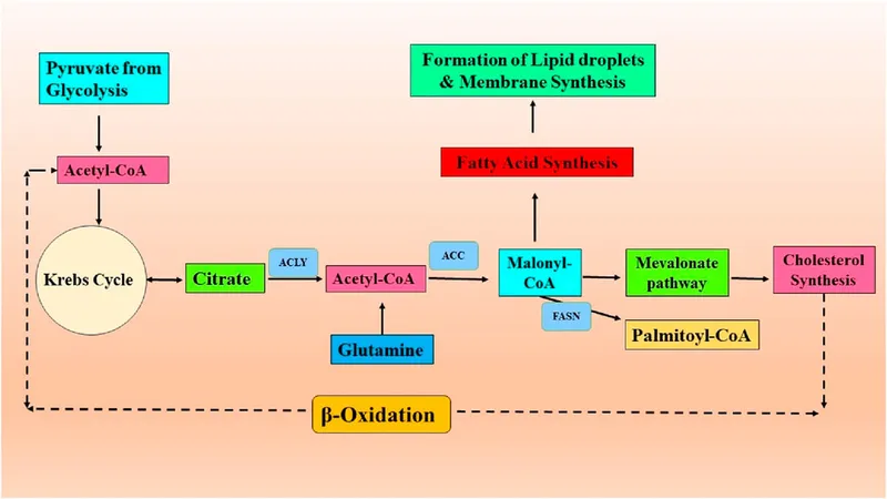 metabolic pathway integration