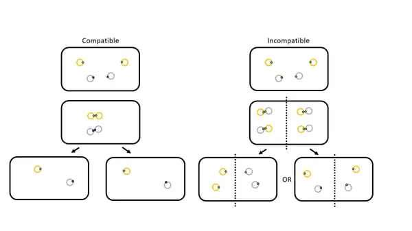 Incompatibility groups and plasmid classification