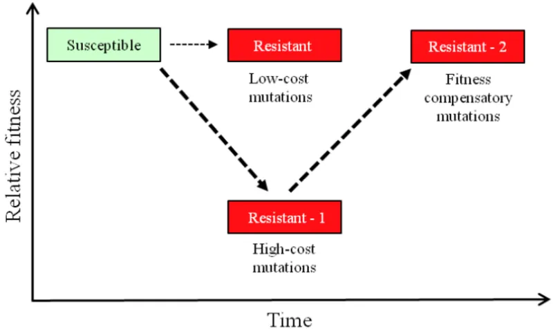 Compensatory mutations restoring fitness in antibiotic-resistant bacteria