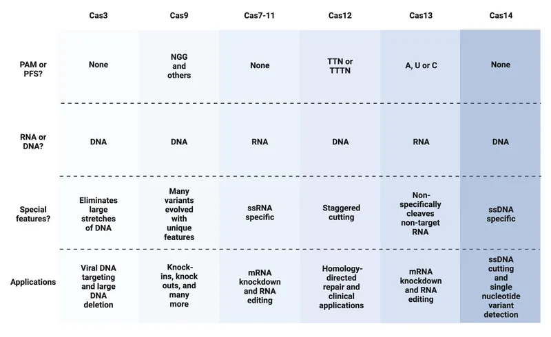 Comparison of different CRISPR-Cas system types and their mechanisms