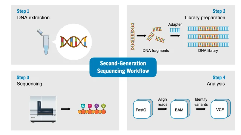 Next-generation sequencing workflow showing library preparation and data analysis