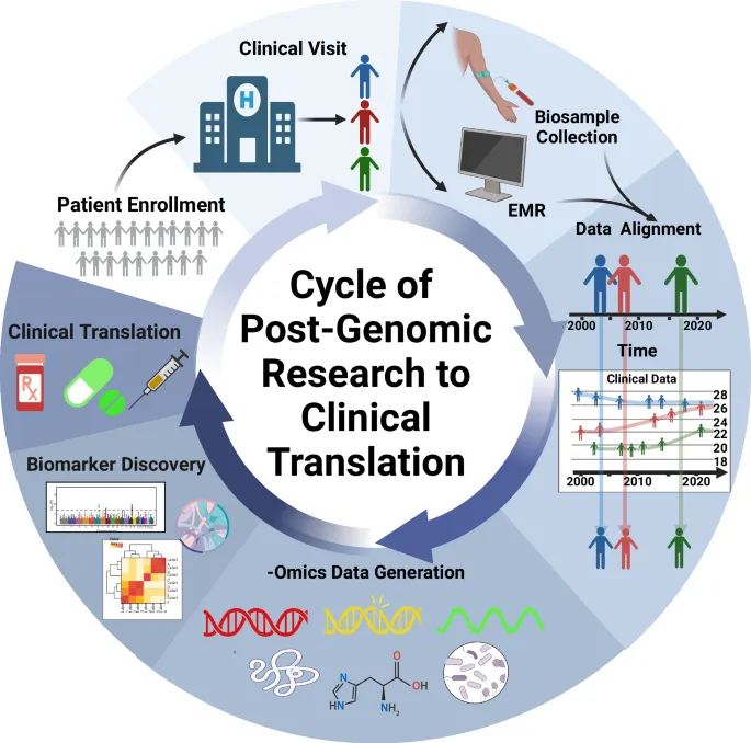 Precision medicine workflow showing genetic testing to targeted therapy selection