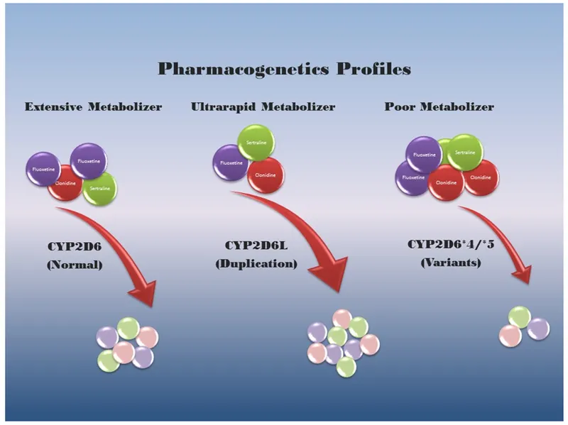 Pharmacogenomic testing results showing CYP450 enzyme variants and medication metabolism