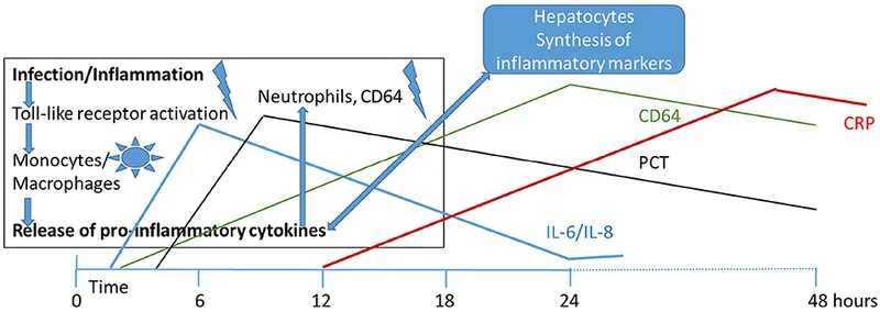 Graph showing temporal changes in sepsis biomarkers over time