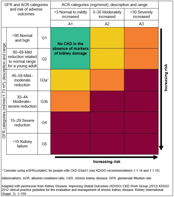 Clinical decision support tool for rapid CKD assessment