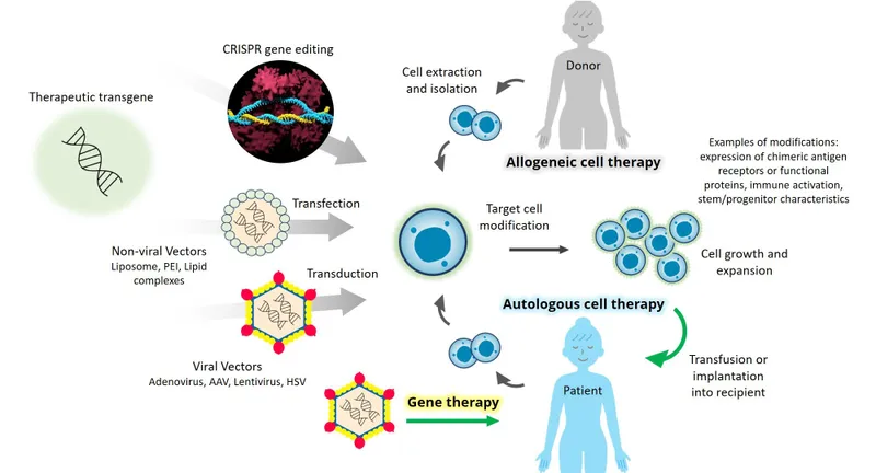 Diagram showing gene therapy delivery mechanisms and vectors