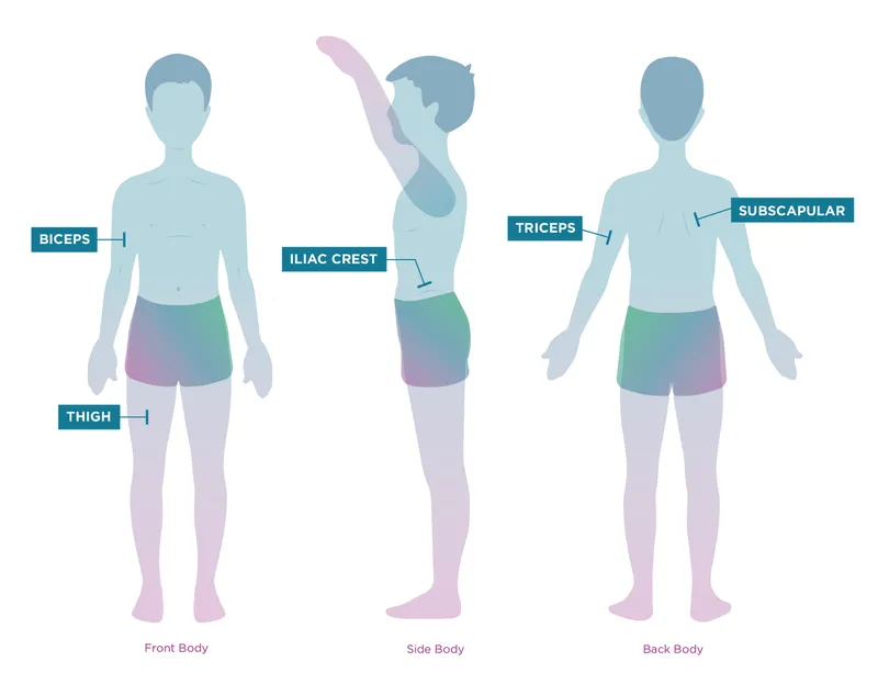 Anthropometric measurement techniques and body composition analysis