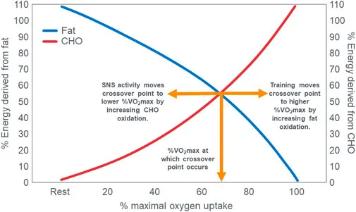 Graph showing respiratory quotient changes during exercise intensity
