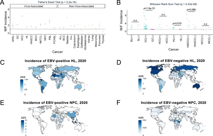 Geographic distribution map of viral cancer hotspots worldwide