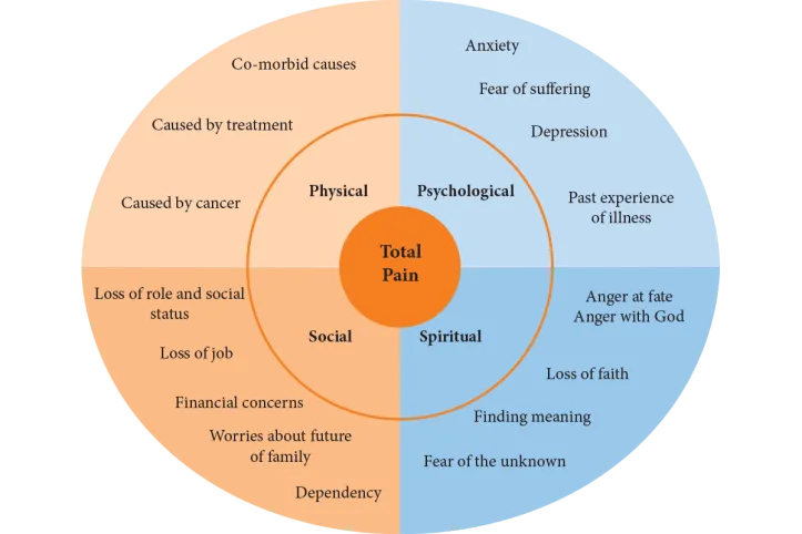 Diagram showing total pain model with four interconnected domains