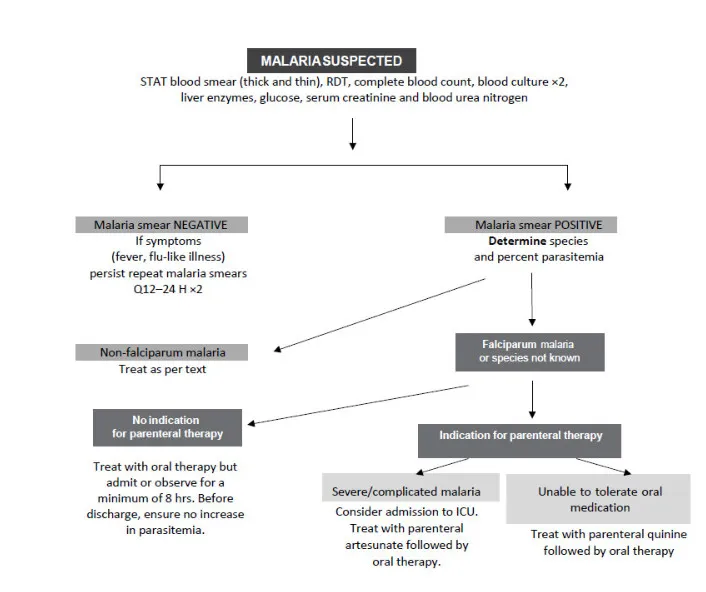 Malaria treatment algorithm based on species and severity