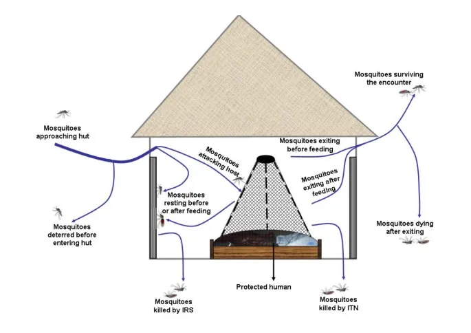 Vector control methods for parasitic diseases