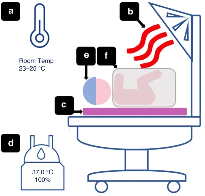 Thermal imaging of pediatric patient showing heat loss patterns during surgery