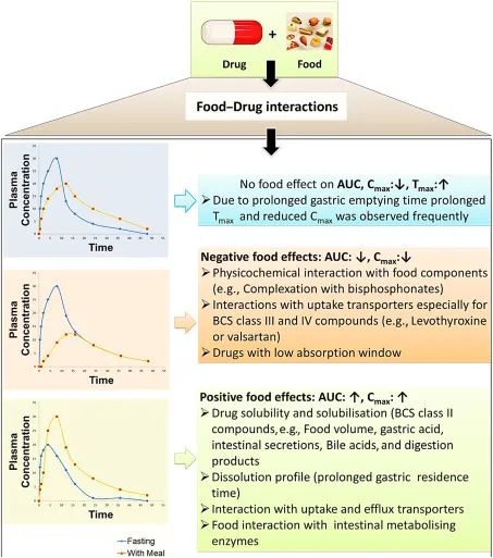Factors affecting drug absorption including pH, food, and gastric emptying