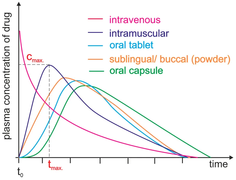 Drug absorption mechanisms across different administration routes