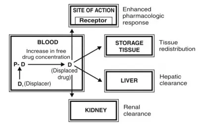 Drug protein binding and free drug concentration relationships