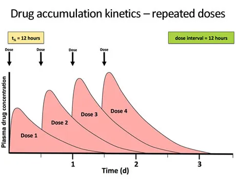 Steady-state achievement curves for different dosing regimens