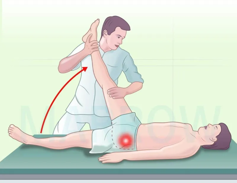 Fluid responsiveness assessment