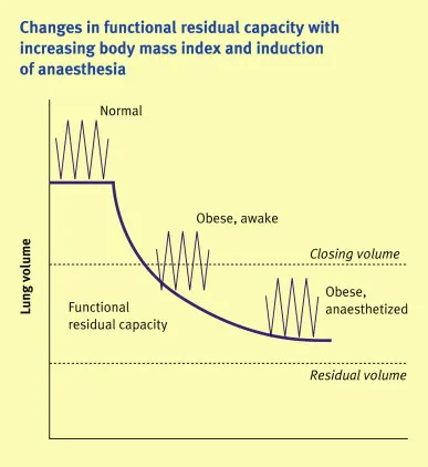 Postoperative lung volumes changes