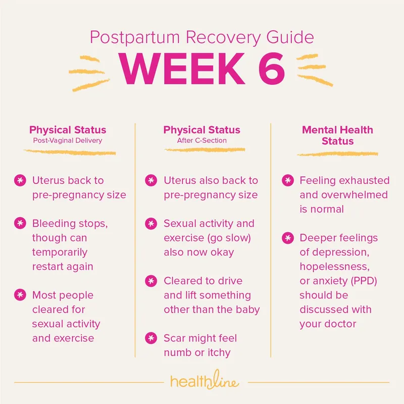 Comprehensive postpartum care timeline showing physiological changes
