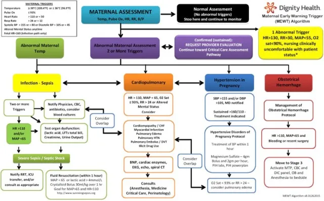Postpartum emergency assessment protocol and decision tree