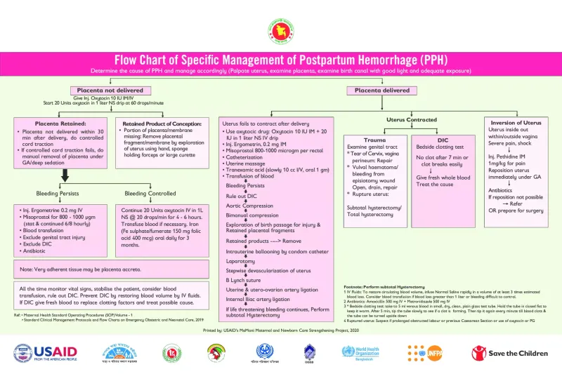 Postpartum hemorrhage assessment and management algorithm
