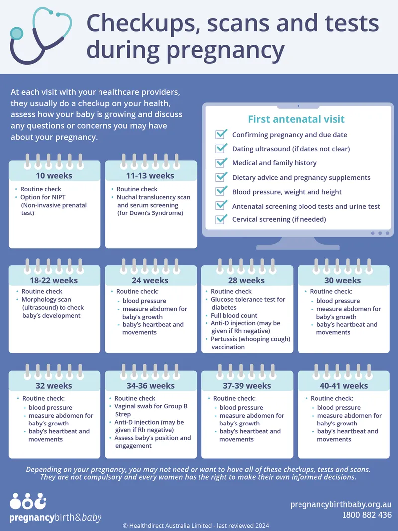 Prenatal laboratory screening timeline showing critical test intervals