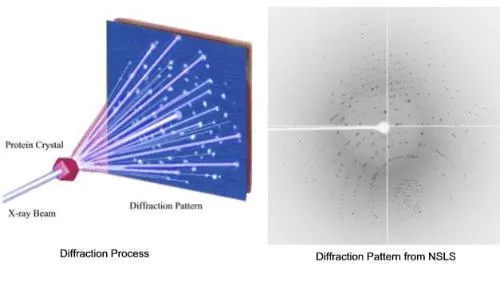 X-ray crystallography protein structure determination