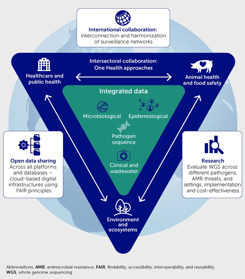 Network diagram showing intersectoral coordination in public health administration