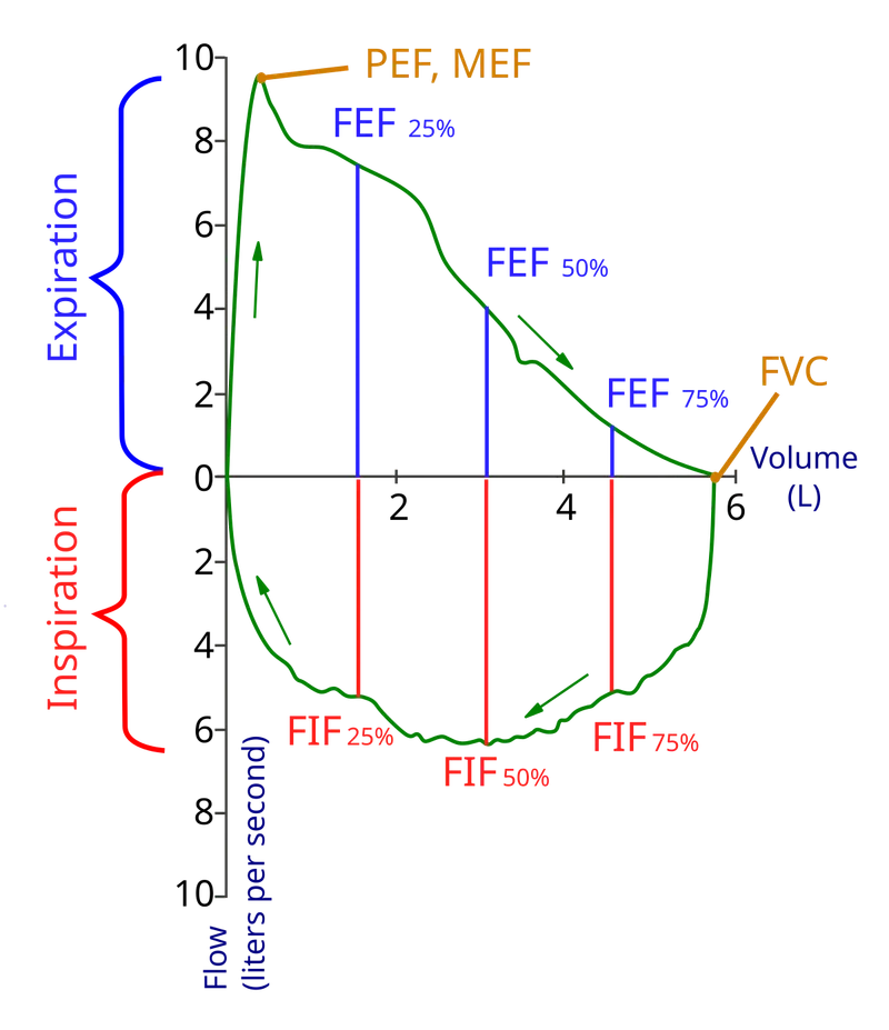 spirometry obstructive restrictive patterns