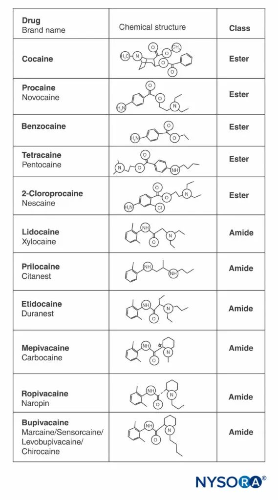 Molecular structure comparison of lidocaine and bupivacaine showing chemical differences