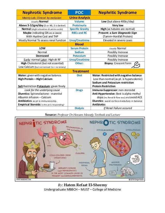 Comparison chart showing nephrotic vs nephritic syndrome clinical features