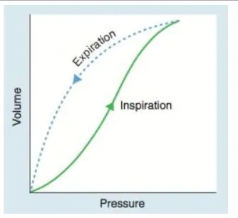 respiratory pressure changes graph