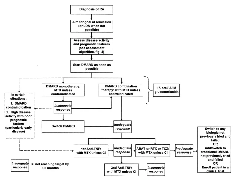 Clinical decision algorithm for rheumatological diagnosis and treatment